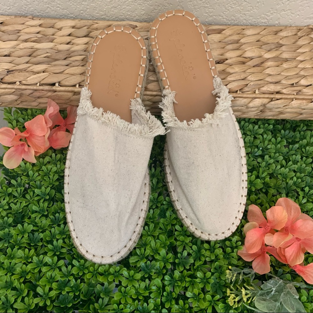 Splendid flats